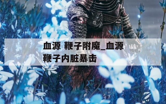 血源 鞭子附魔_血源鞭子内脏暴击