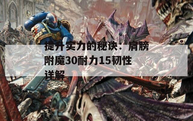 提升实力的秘诀：肩膀附魔30耐力15韧性详解