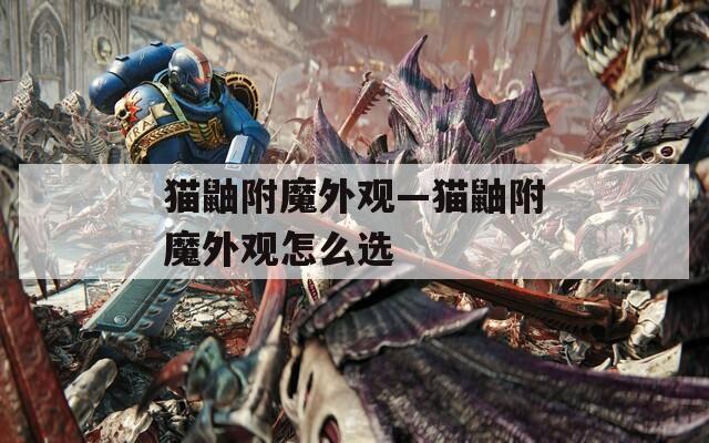 猫鼬附魔外观—猫鼬附魔外观怎么选