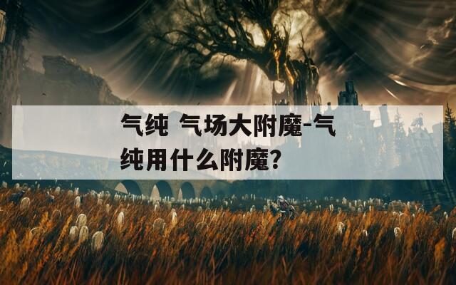 气纯 气场大附魔-气纯用什么附魔？