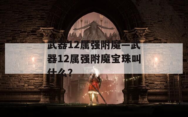武器12属强附魔—武器12属强附魔宝珠叫什么？