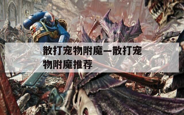 散打宠物附魔—散打宠物附魔推荐