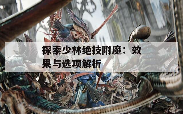 探索少林绝技附魔：效果与选项解析