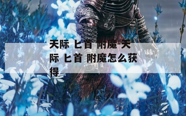 天际 匕首 附魔-天际 匕首 附魔怎么获得