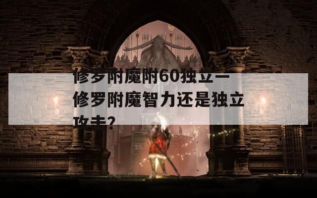 修罗附魔附60独立—修罗附魔智力还是独立攻击？