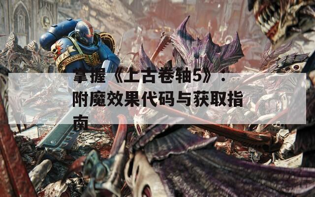 掌握《上古卷轴5》：附魔效果代码与获取指南
