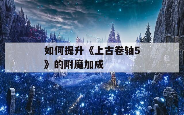 如何提升《上古卷轴5》的附魔加成