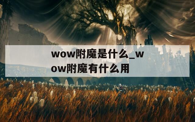 wow附魔是什么_wow附魔有什么用