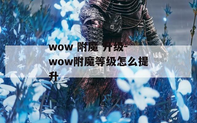 wow 附魔 升级-wow附魔等级怎么提升