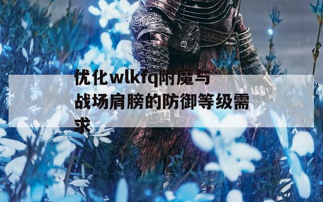 优化wlkfq附魔与战场肩膀的防御等级需求