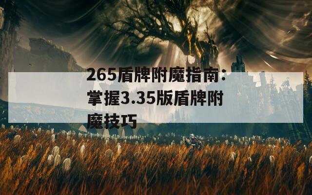 265盾牌附魔指南：掌握3.35版盾牌附魔技巧