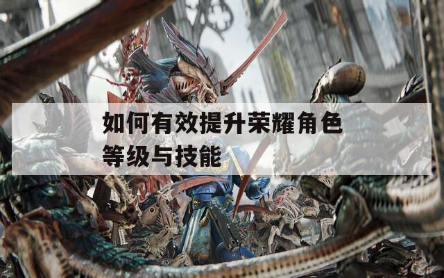 如何有效提升荣耀角色等级与技能