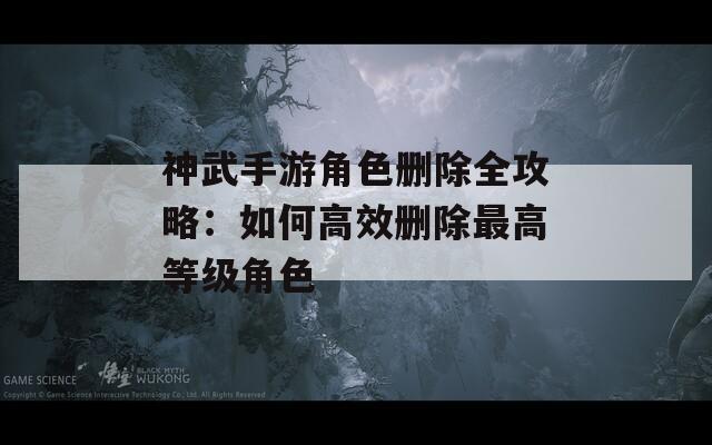 神武手游角色删除全攻略：如何高效删除最高等级角色
