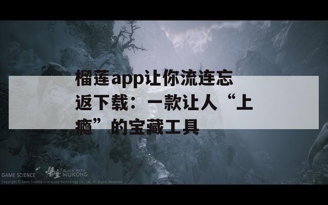 榴莲app让你流连忘返下载：一款让人“上瘾”的宝藏工具
