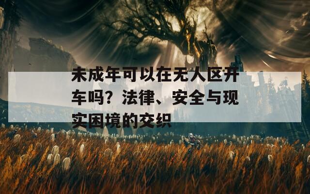 未成年可以在无人区开车吗？法律、安全与现实困境的交织