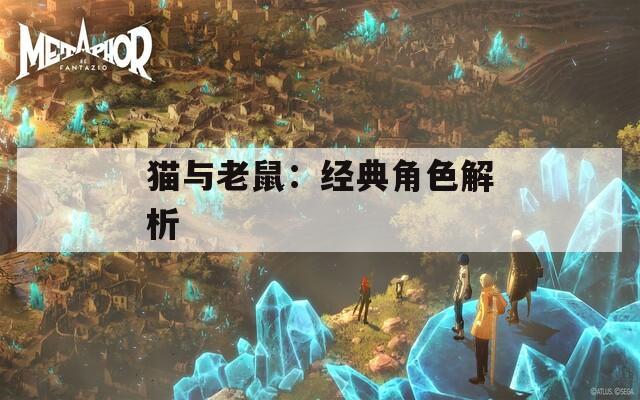 猫与老鼠：经典角色解析
