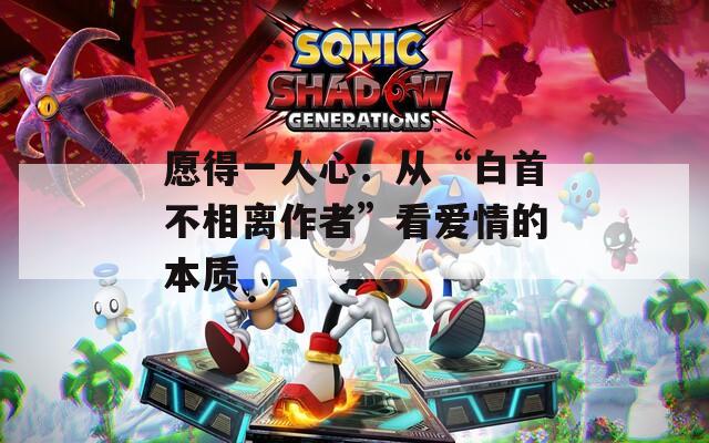 愿得一人心：从“白首不相离作者”看爱情的本质