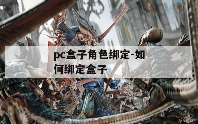 pc盒子角色绑定-如何绑定盒子